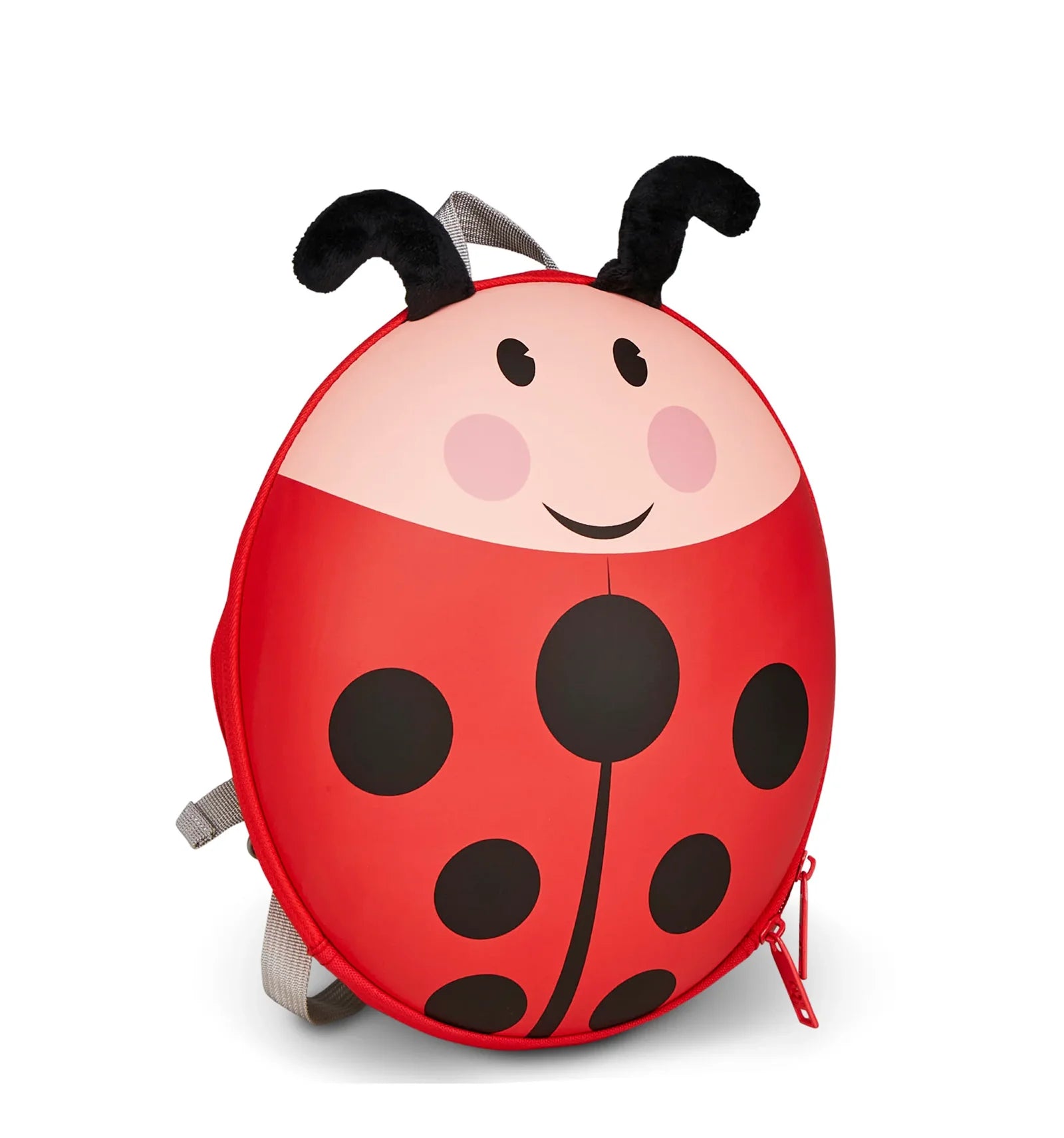 ZAINETTO COCCINELLA SJ