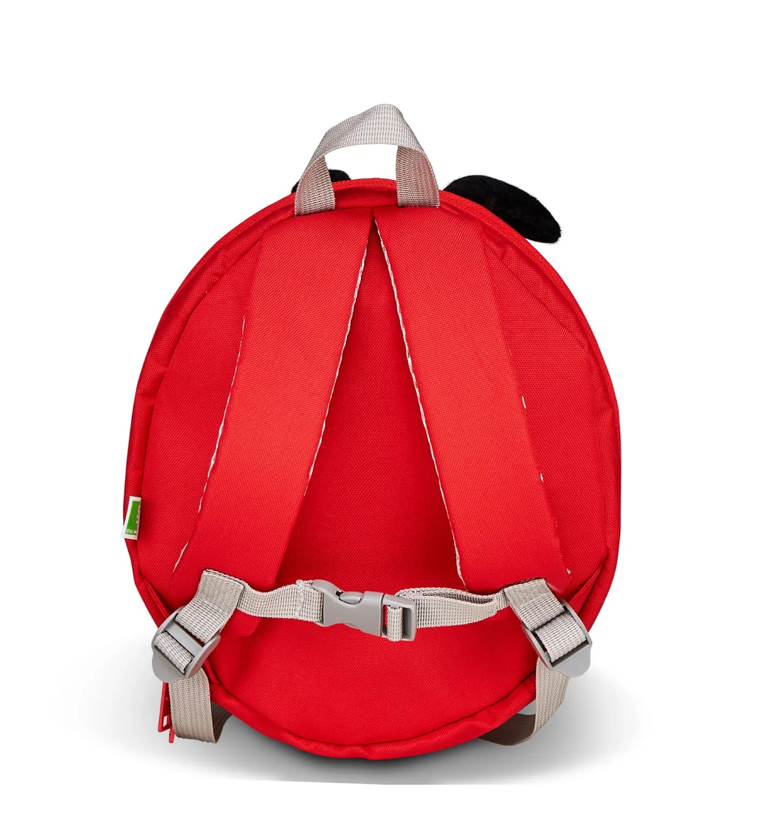 ZAINETTO COCCINELLA SJ