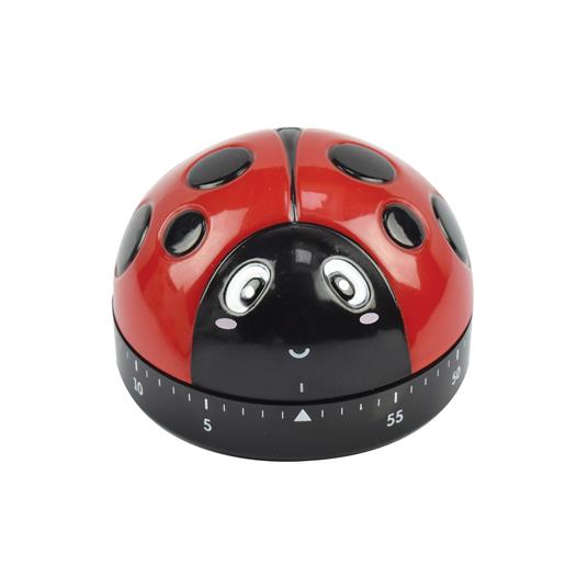 TIMER 60 MINUTI COCCINELLA LEGAMI