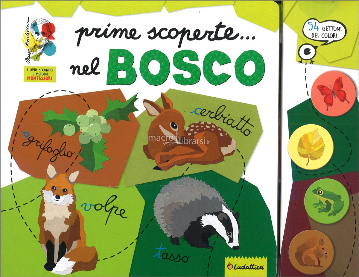 ALLA SCOPERTA DEL BOSCO MONTESSORI