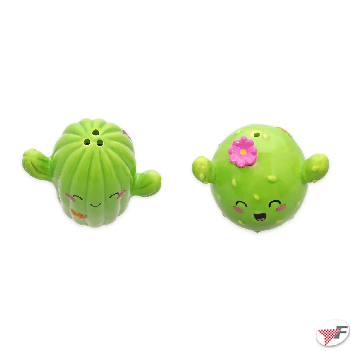 SALE E PEPE CACTUS LEGAMI